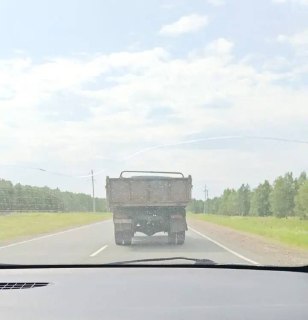 Водитель препятствовал экстренной перевозке собаки в Мелеузе