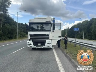 Масштабная авария на трассе Уфа — Оренбург: 19-летний велосипедист погиб под грузовиком